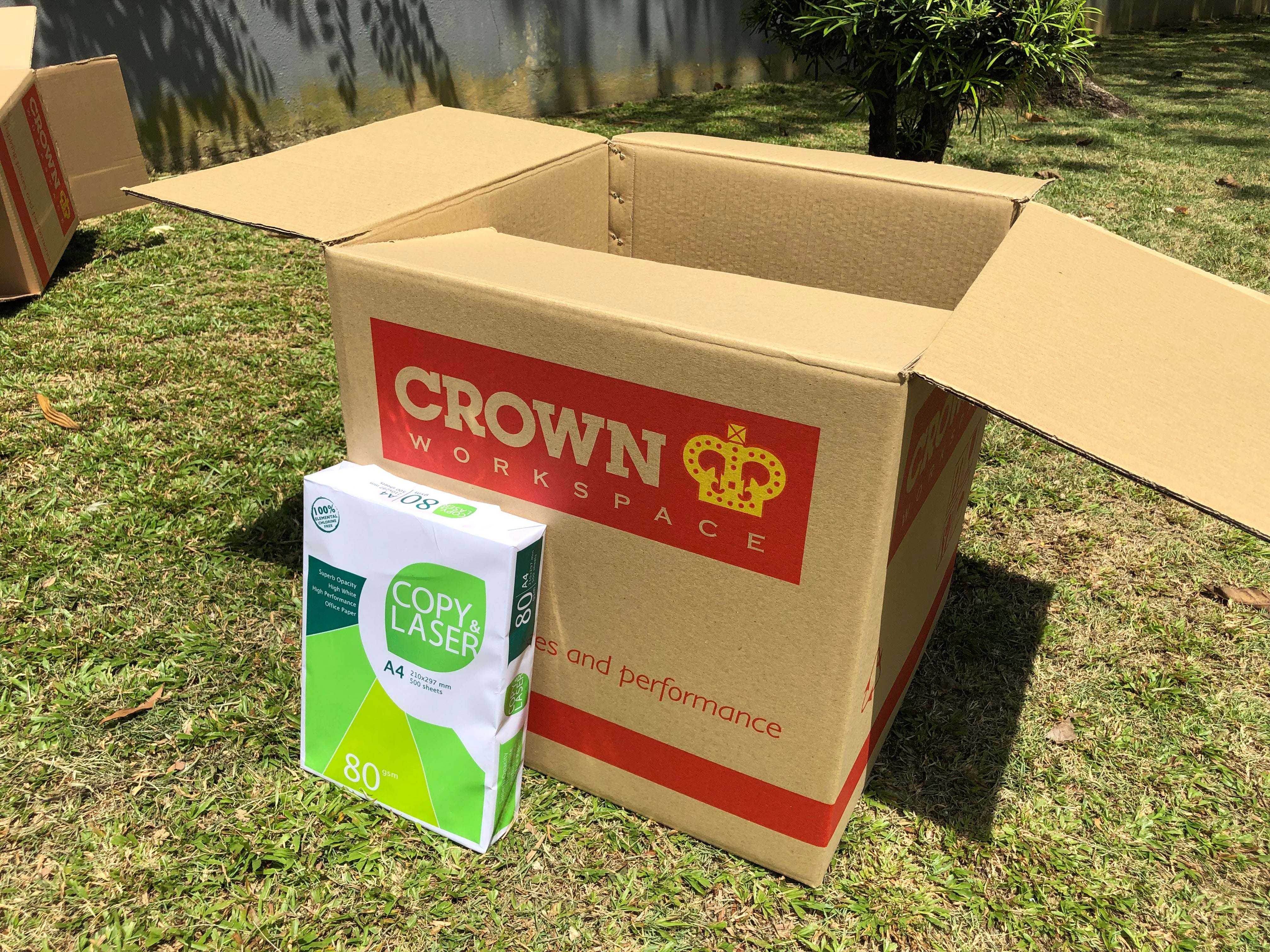 Medium Carton Office Packing Box - Medium (Pack of 5) | CWW eStore